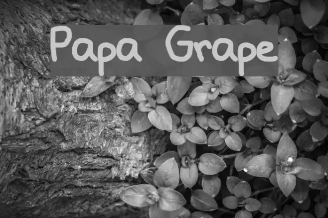 Papa Grape Font examples