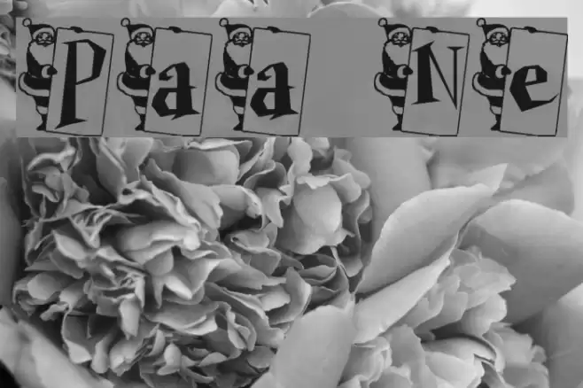 Papa Noel examples