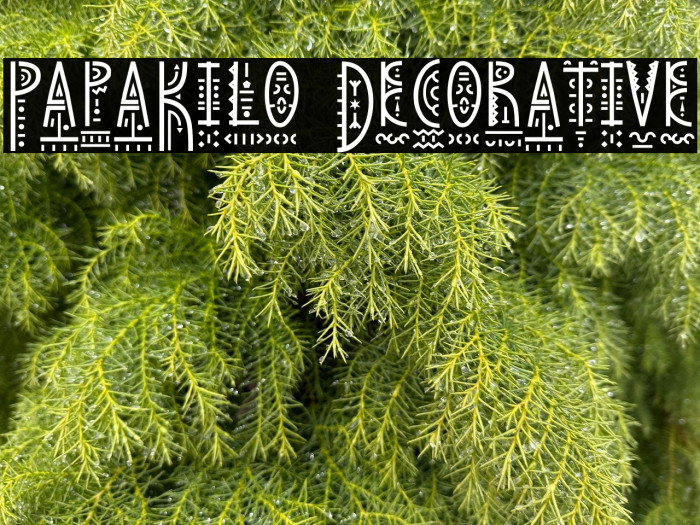 PapaKilo Decorative Example 1