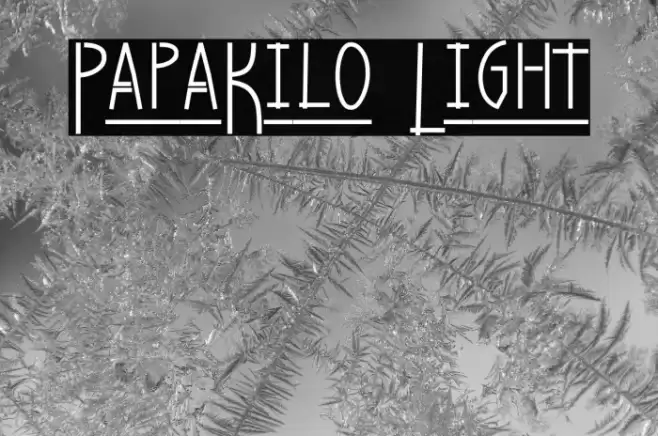 PapaKilo Light Font examples