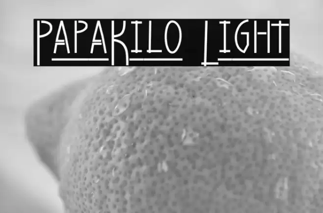 PapaKilo Light Font examples