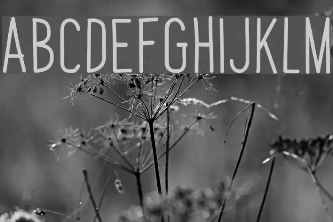 PapayaSunrise Font examples