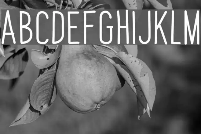 PapayaSunrise Font examples