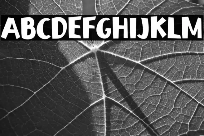 Papeco Schriftart examples