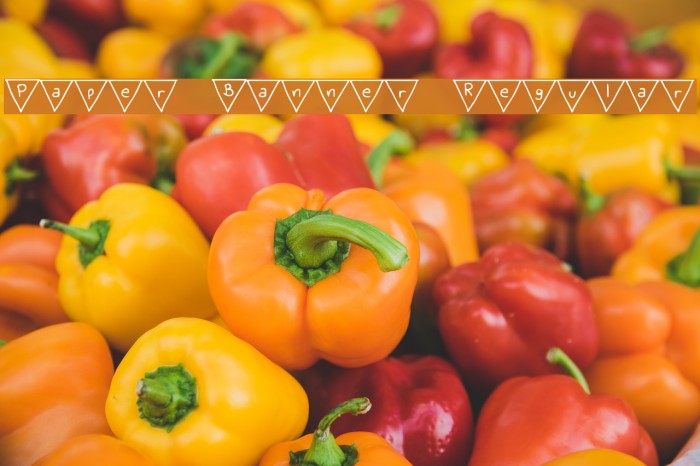 Paper Banner Regular Font examples