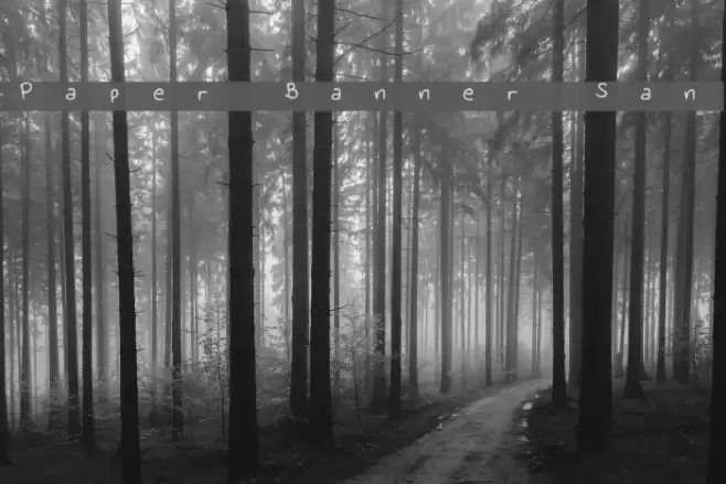 Paper Banner Sans Font examples
