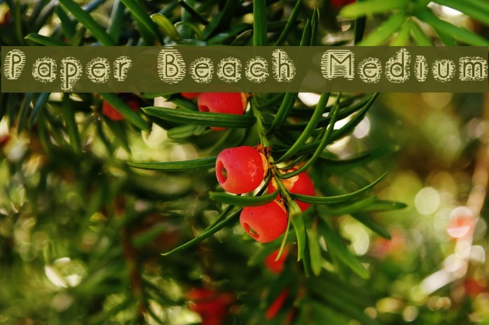 Paper Beach Medium Font examples