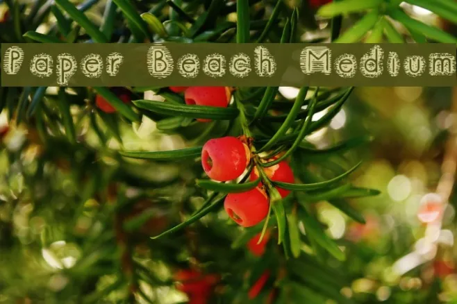 Paper Beach Medium Example 1
