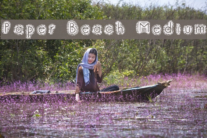 Paper Beach Medium Font examples