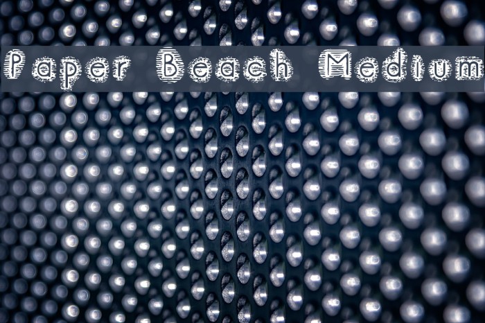Paper Beach Medium Font examples