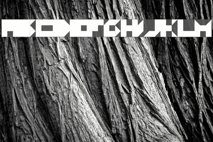 Paper Bold Font examples