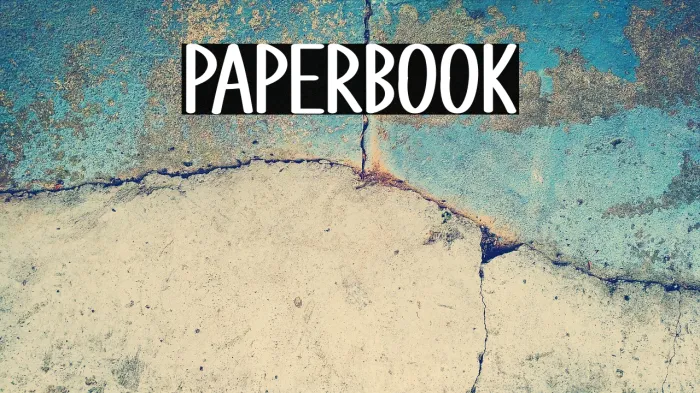 Paper Book Example 2