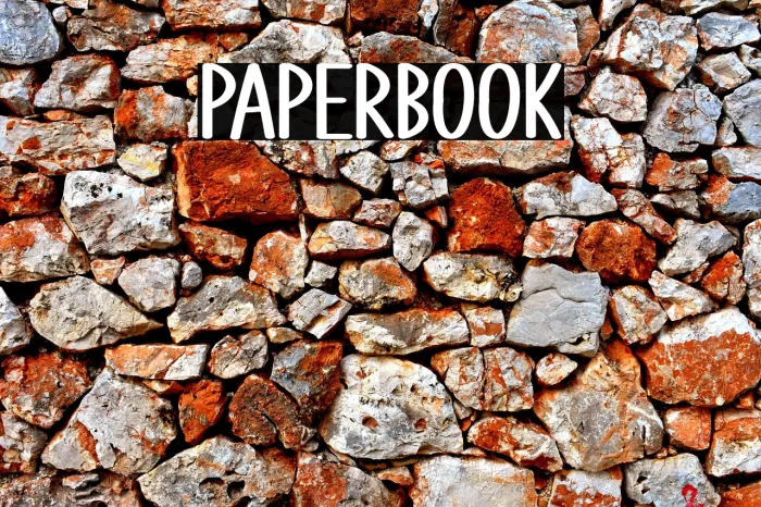 Paper Book Example 3