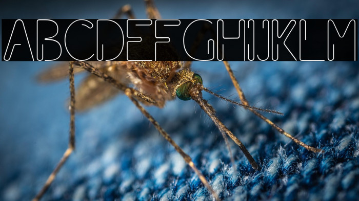 Paper Clip Example 1