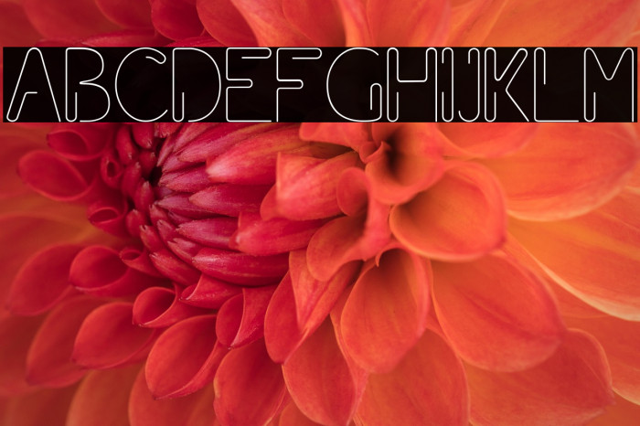 Paper Clip Example 3