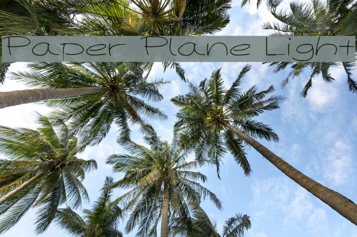 Paper Plane Light Font examples
