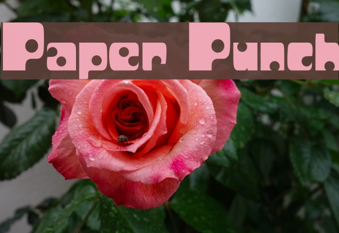 Paper Punch Font examples