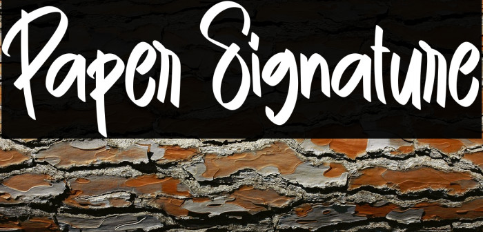Paper Signature Example 2