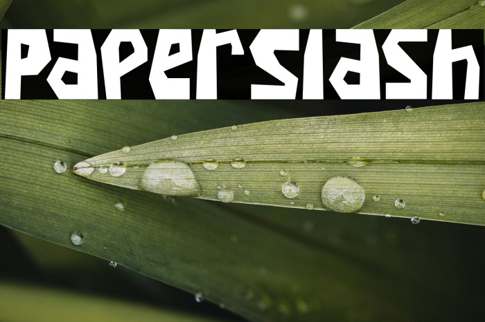 Paper Slash Example 1