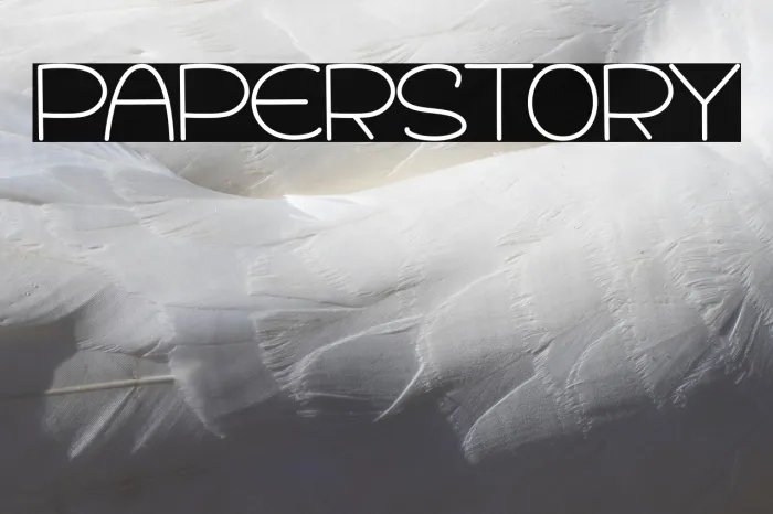 Paper Story Example 2