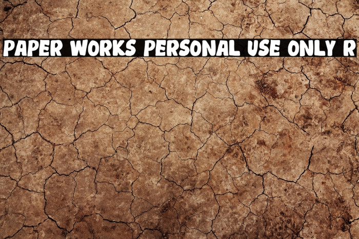 Paper Works Personal Use only R Example 1