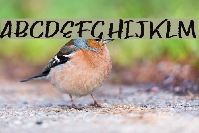 Paper rib reg Example 1