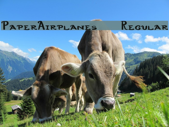 PaperAirplanes-Regular Example 3