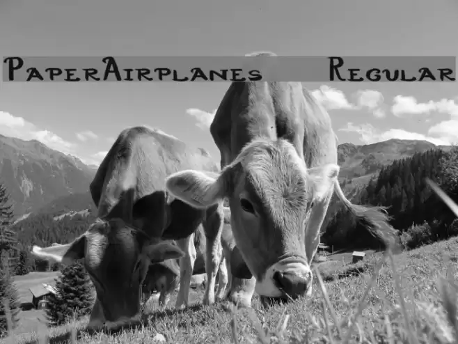 PaperAirplanes-Regular Font examples
