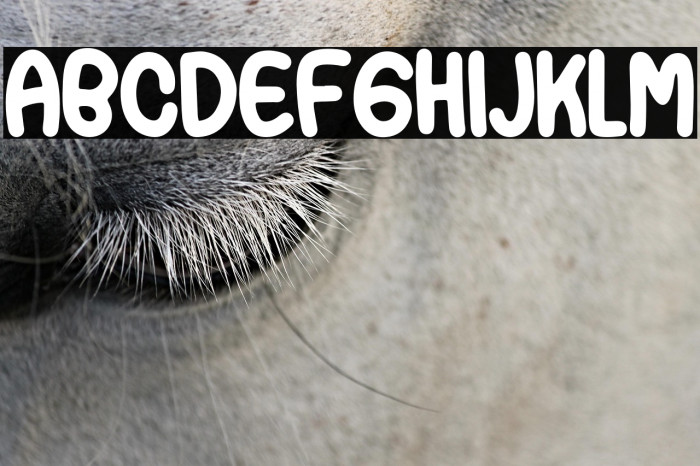 PaperCandy Example 2