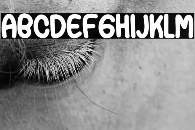 PaperCandy Font examples