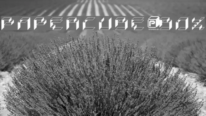 PaperCube-Box Font examples