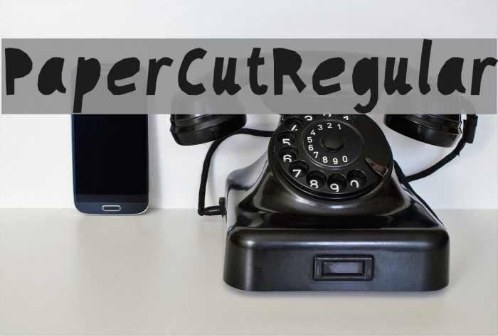 PaperCutRegular Example 2