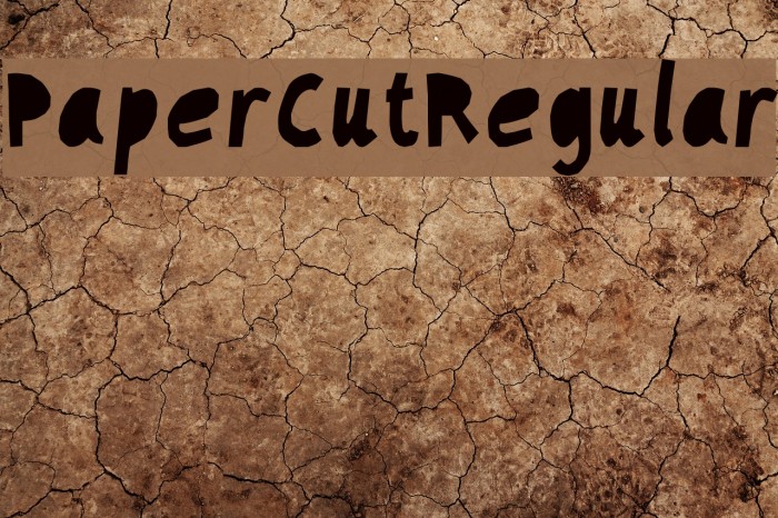 PaperCutRegular Example 3