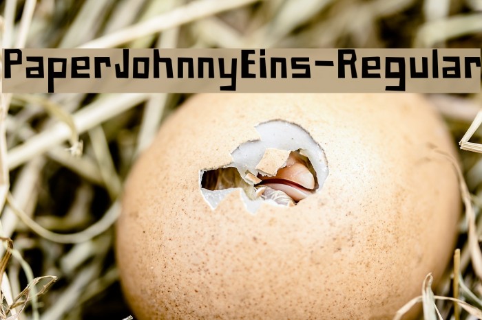 PaperJohnnyEins-Regular Font examples