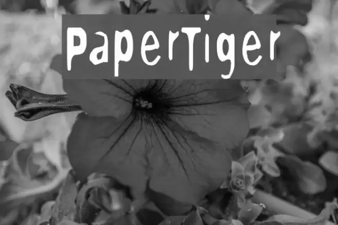 PaperTiger Font examples