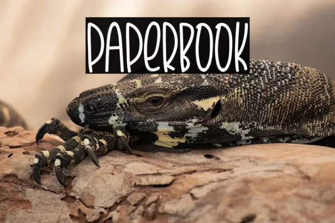 Paperbook Example 3