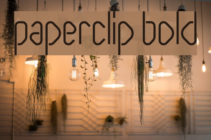 Paperclip Bold Font examples