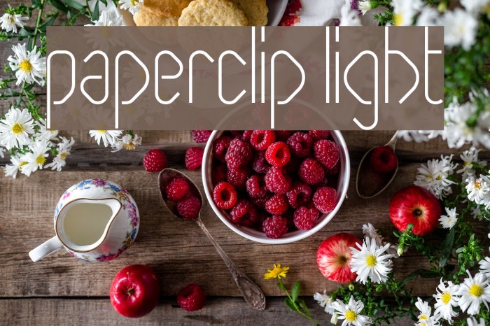 Paperclip Light Font examples
