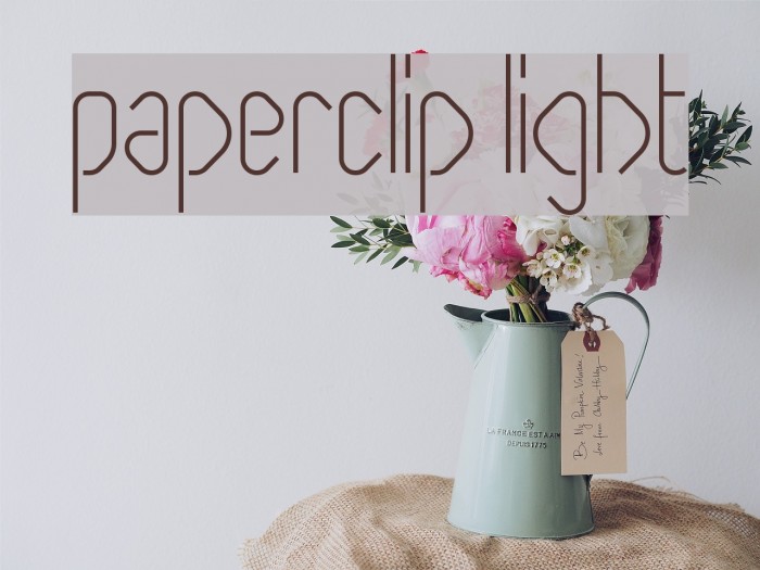 Paperclip Light Font examples