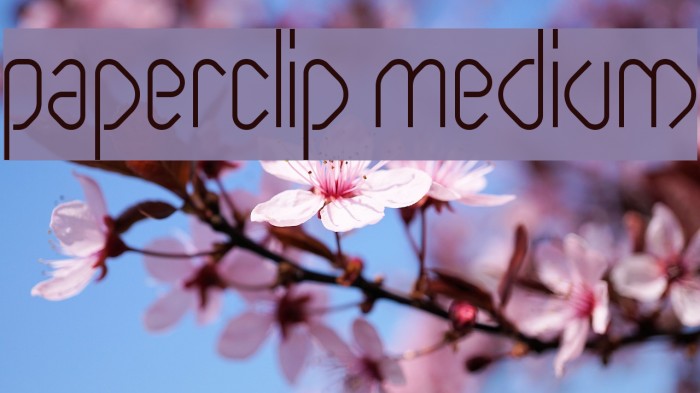 Paperclip Medium Font examples