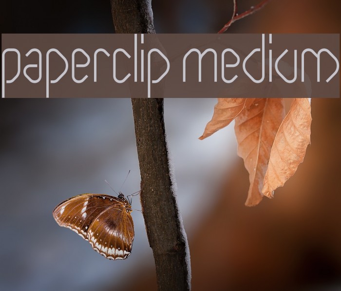 Paperclip Medium Font examples