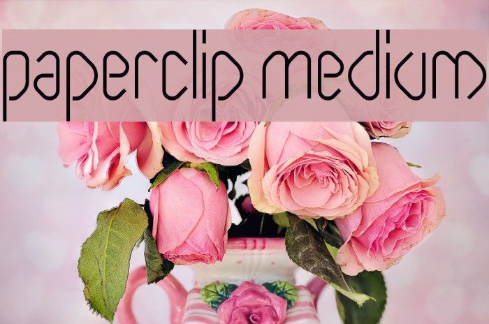 Paperclip Medium Font examples