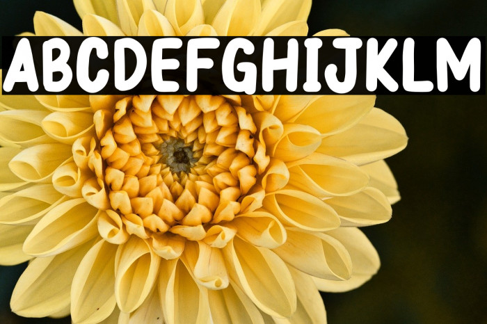 Papernotes Bold Example 2