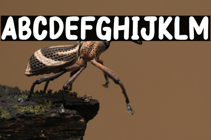 Papernotes Bold Example 3