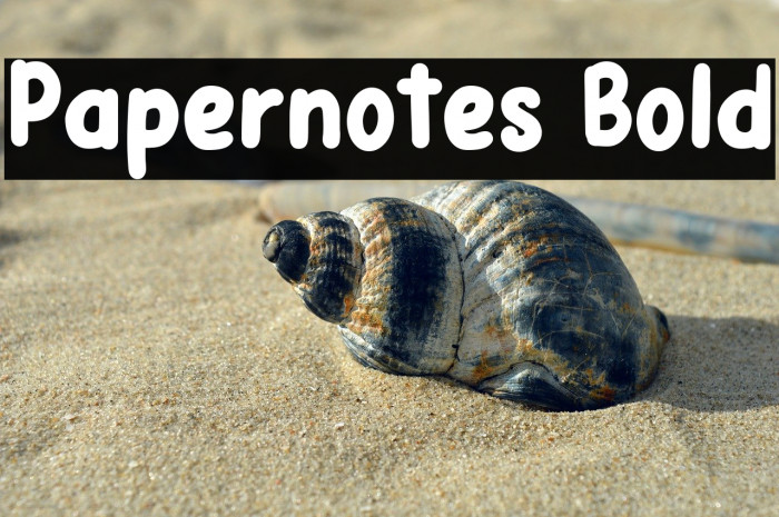 Papernotes Bold Example 3