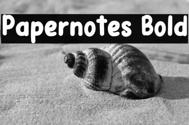 Papernotes Bold Font examples