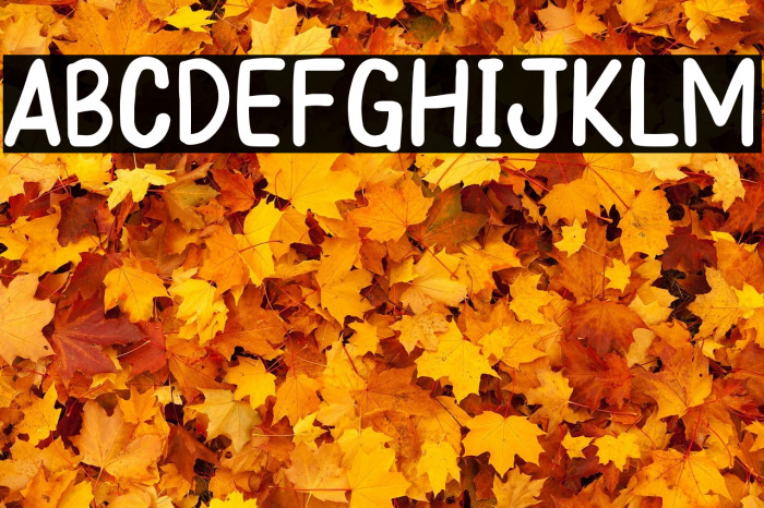 Papernotes Example 3