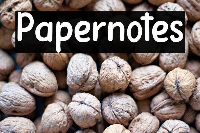 Papernotes Example 3