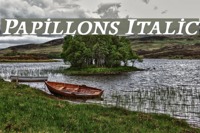Papillons Italic Font examples