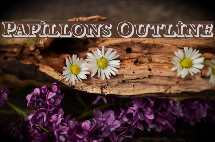 Papillons Outline Font examples